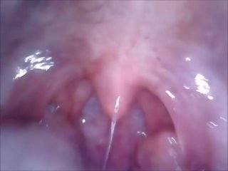 Camma in bocca vagina e culo